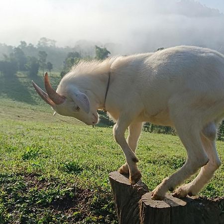ไร่นิธิสุนทร Nithisoonthon Farmstay Mae Hong Son Exterior photo