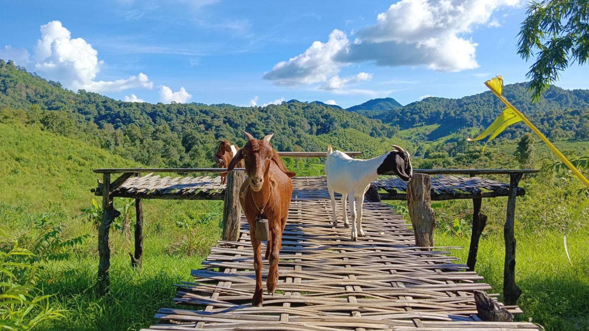 ไร่นิธิสุนทร Nithisoonthon Farmstay Mae Hong Son Exterior photo