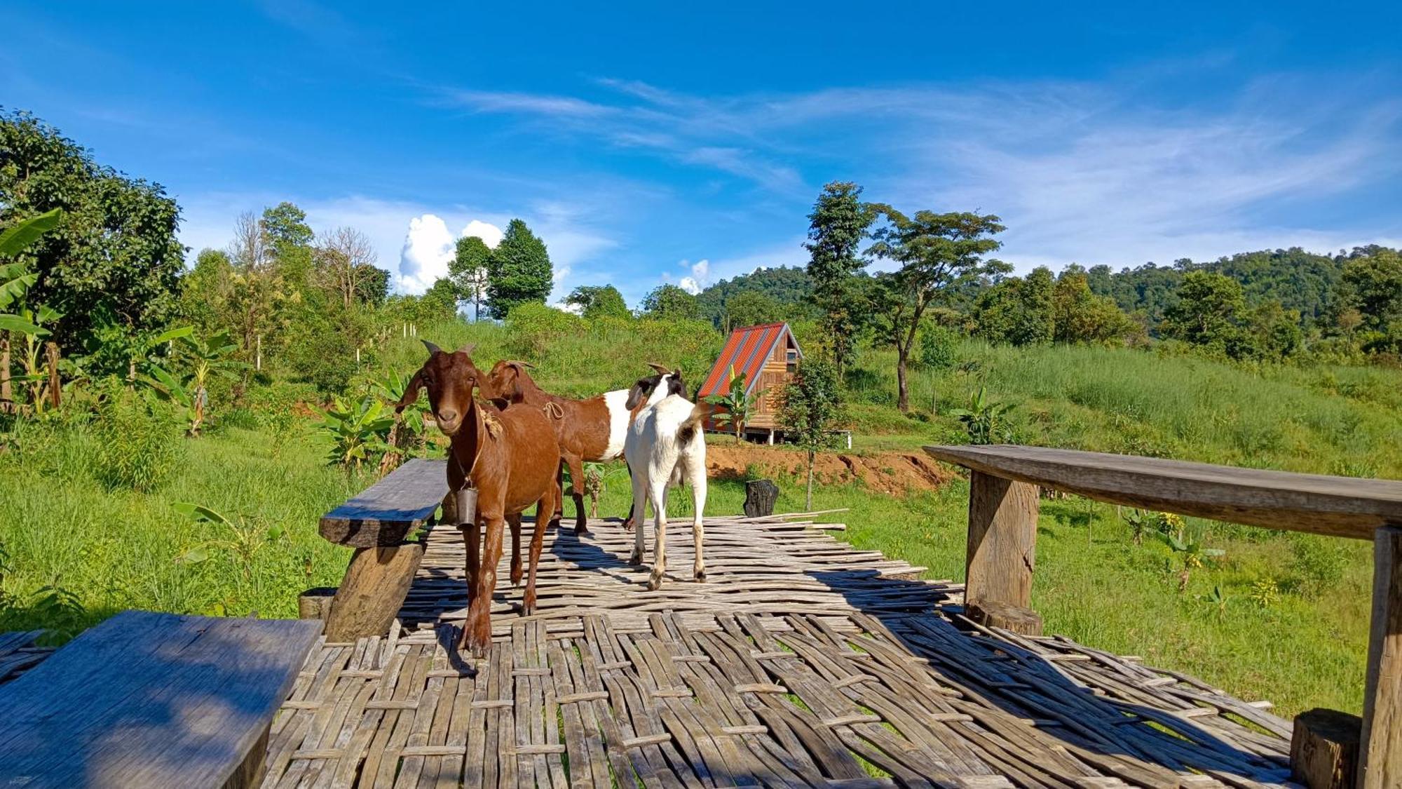 ไร่นิธิสุนทร Nithisoonthon Farmstay Mae Hong Son Exterior photo