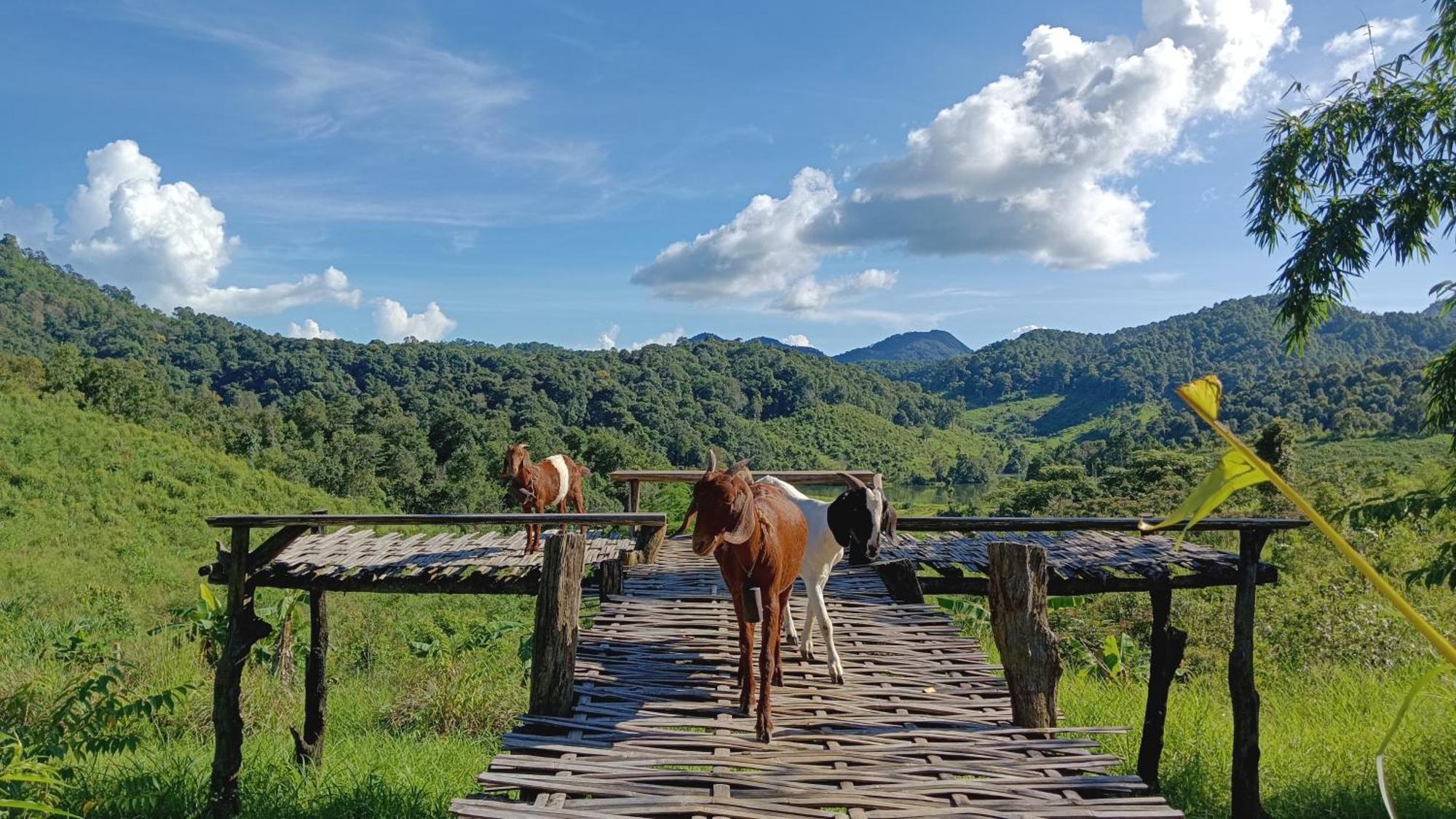 ไร่นิธิสุนทร Nithisoonthon Farmstay Mae Hong Son Exterior photo