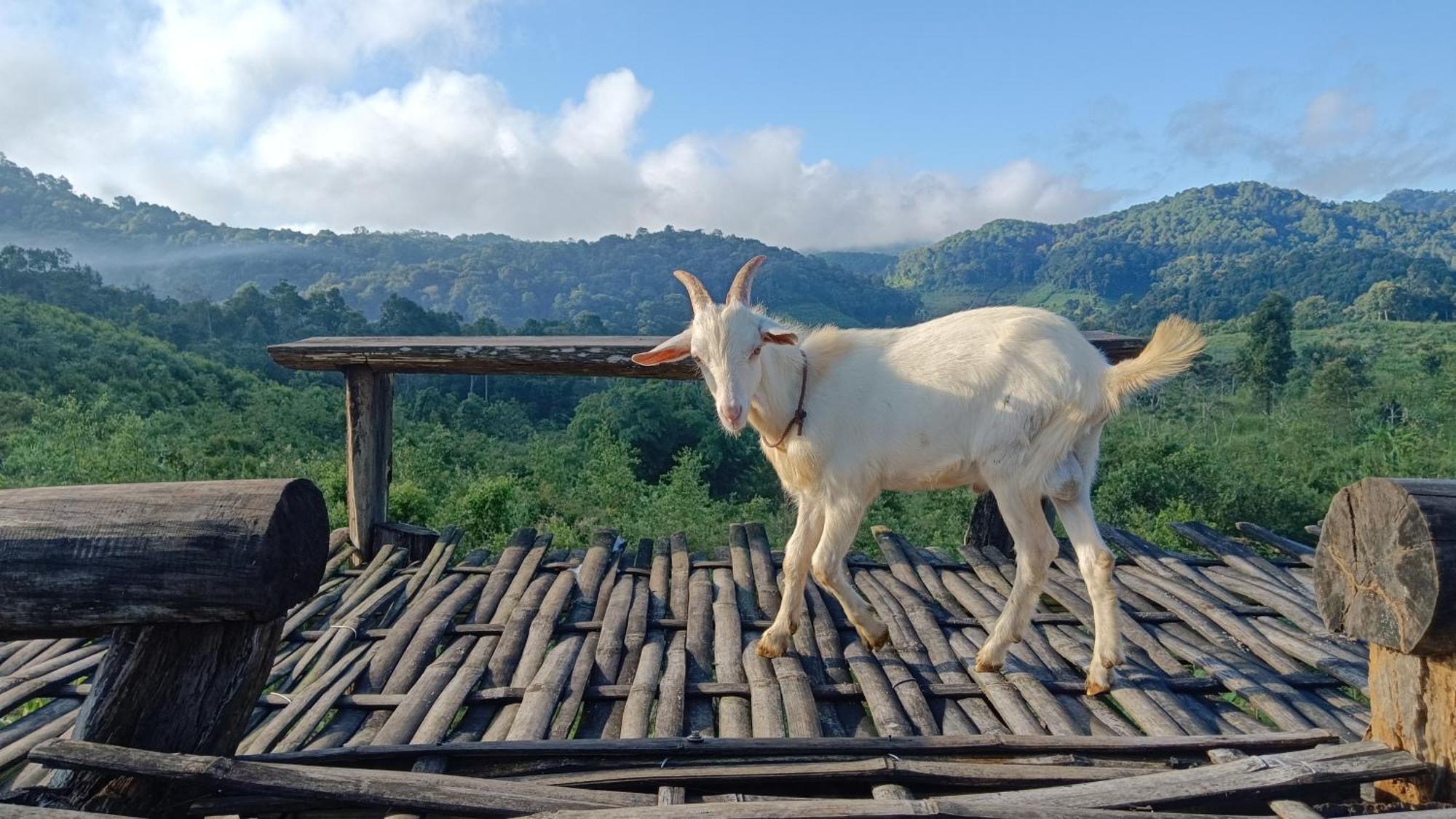 ไร่นิธิสุนทร Nithisoonthon Farmstay Mae Hong Son Exterior photo