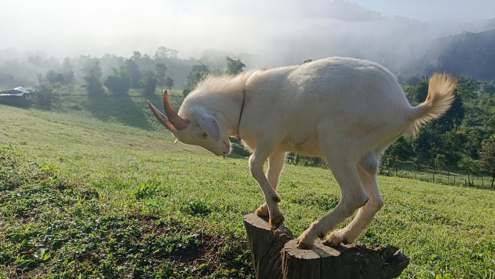 ไร่นิธิสุนทร Nithisoonthon Farmstay Mae Hong Son Exterior photo