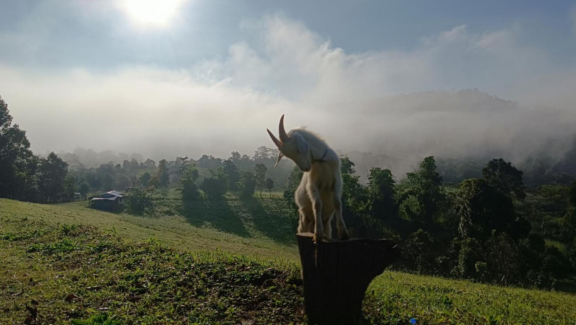 ไร่นิธิสุนทร Nithisoonthon Farmstay Mae Hong Son Exterior photo