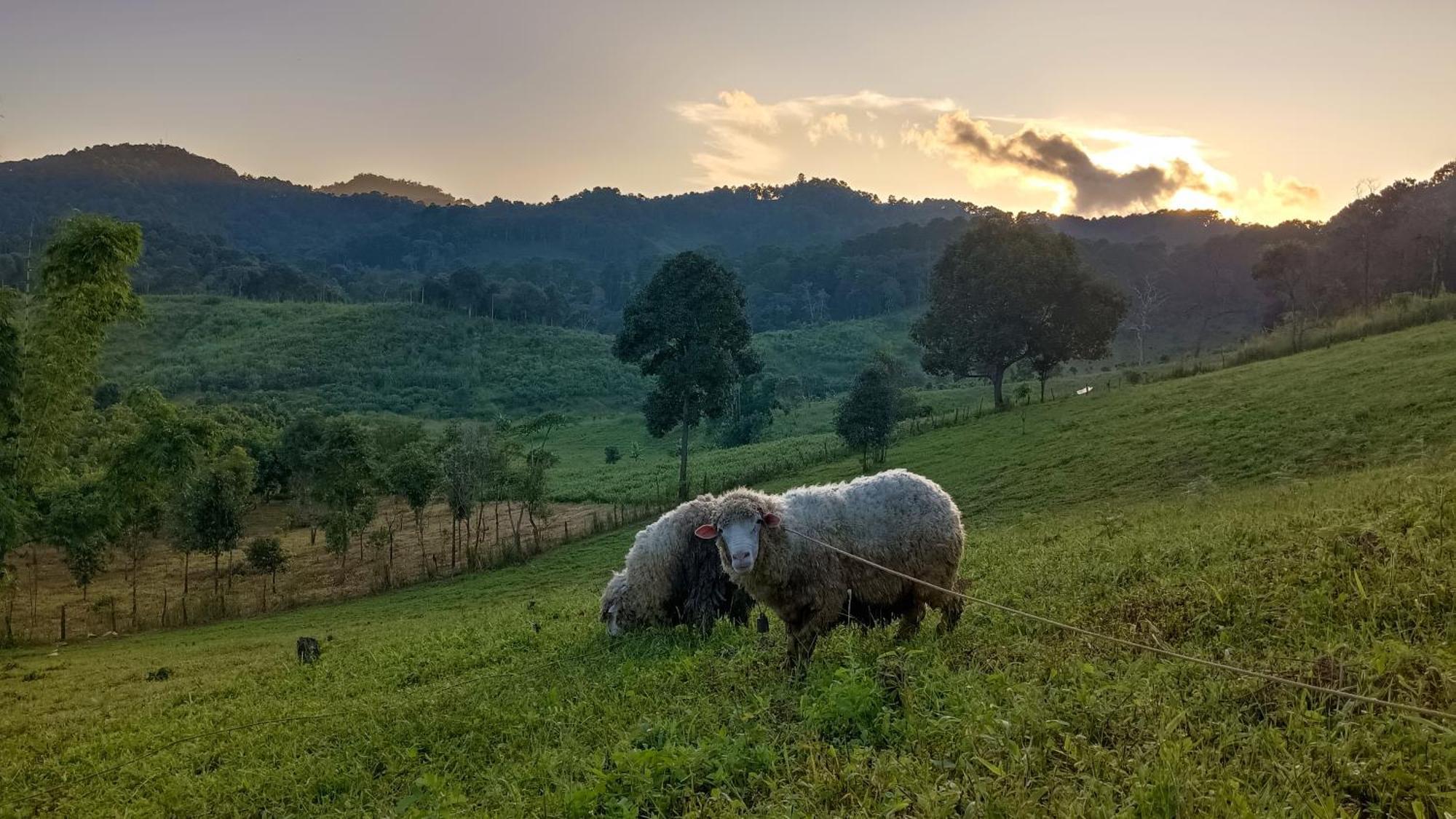 ไร่นิธิสุนทร Nithisoonthon Farmstay Mae Hong Son Exterior photo