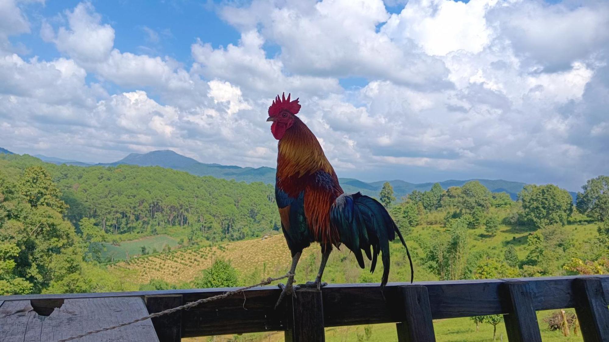 ไร่นิธิสุนทร Nithisoonthon Farmstay Mae Hong Son Exterior photo