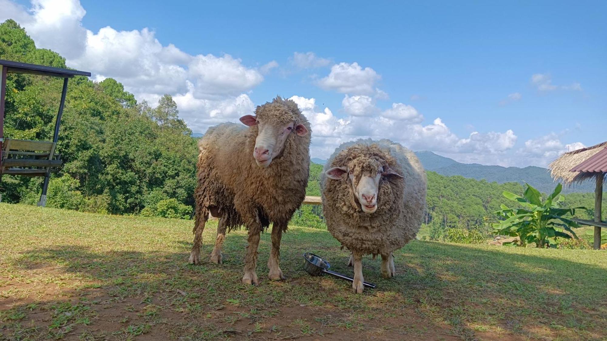 ไร่นิธิสุนทร Nithisoonthon Farmstay Mae Hong Son Exterior photo